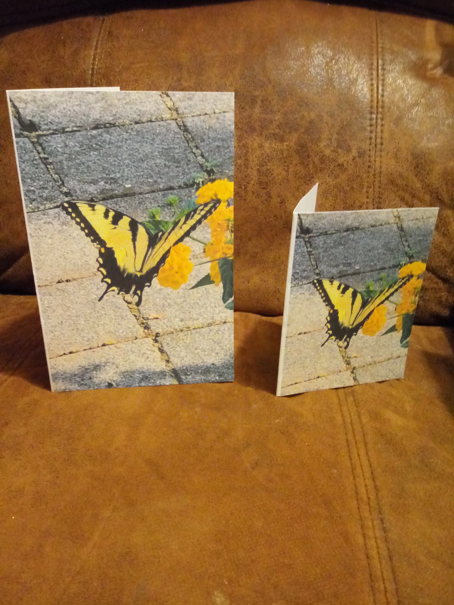 Sidewalk Butterfly Greeting and Note Cards