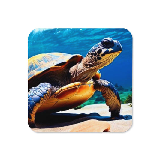 Rising Turtle Coasters