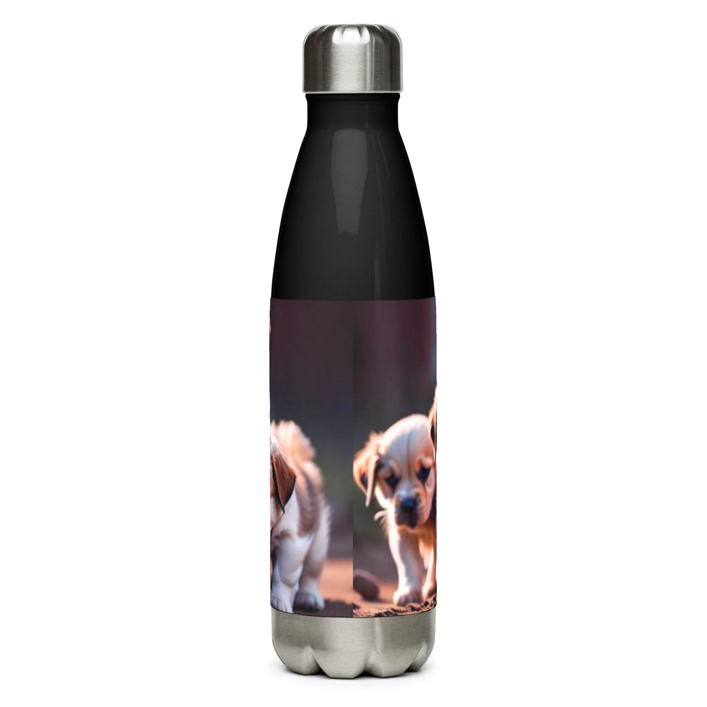 Stainless steel water bottle