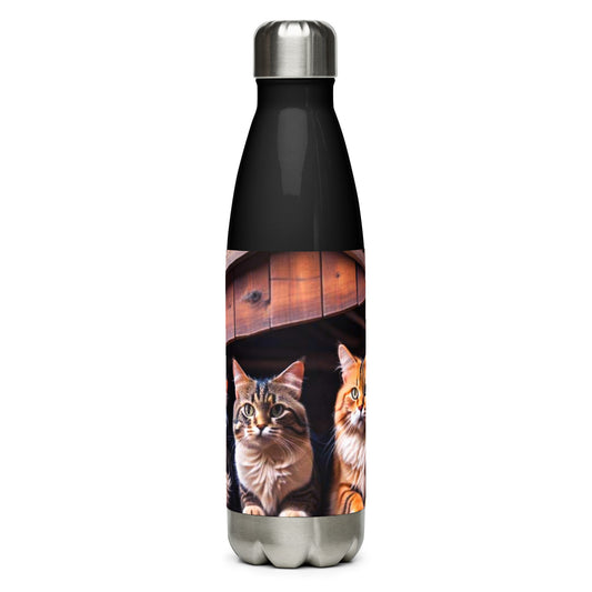 Stainless steel water bottle