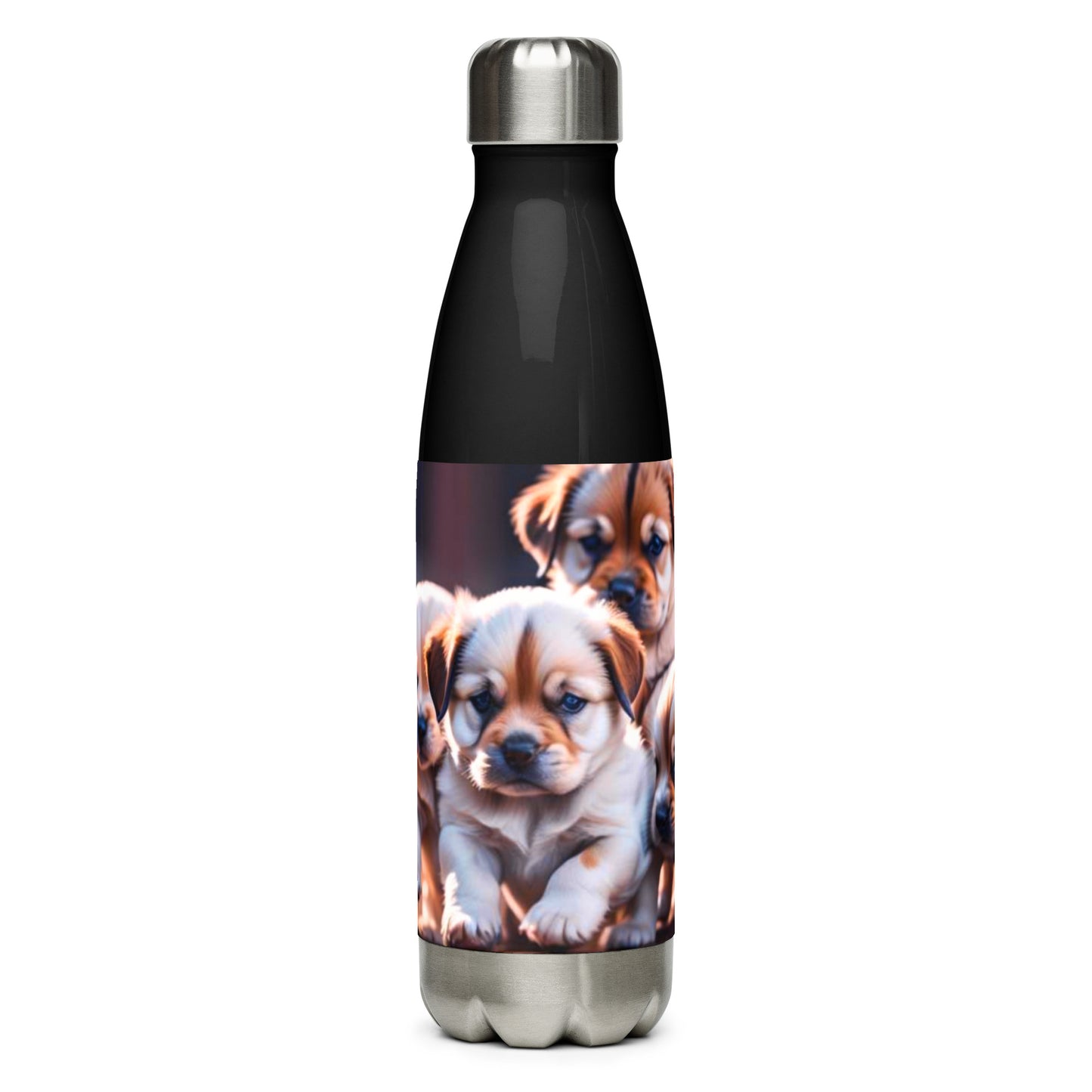 Stainless steel water bottle