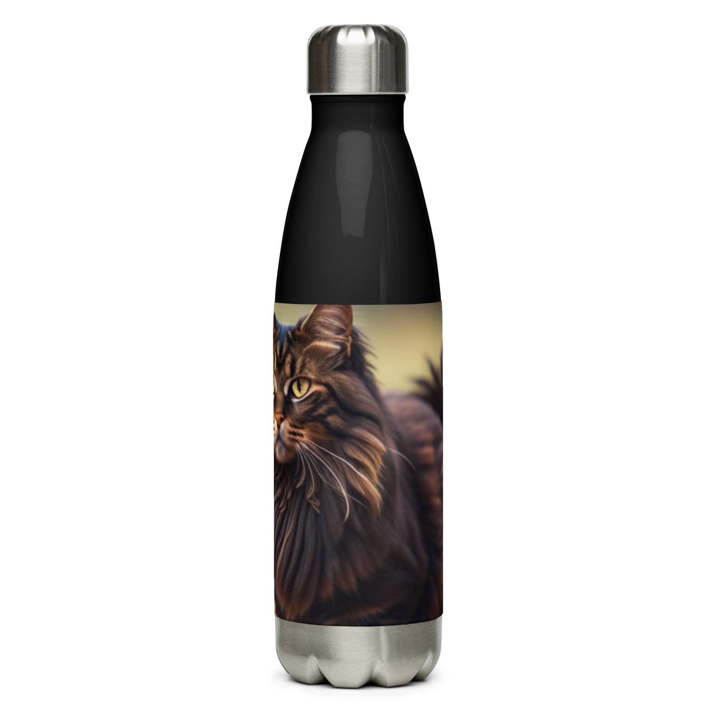 Stainless steel water bottle