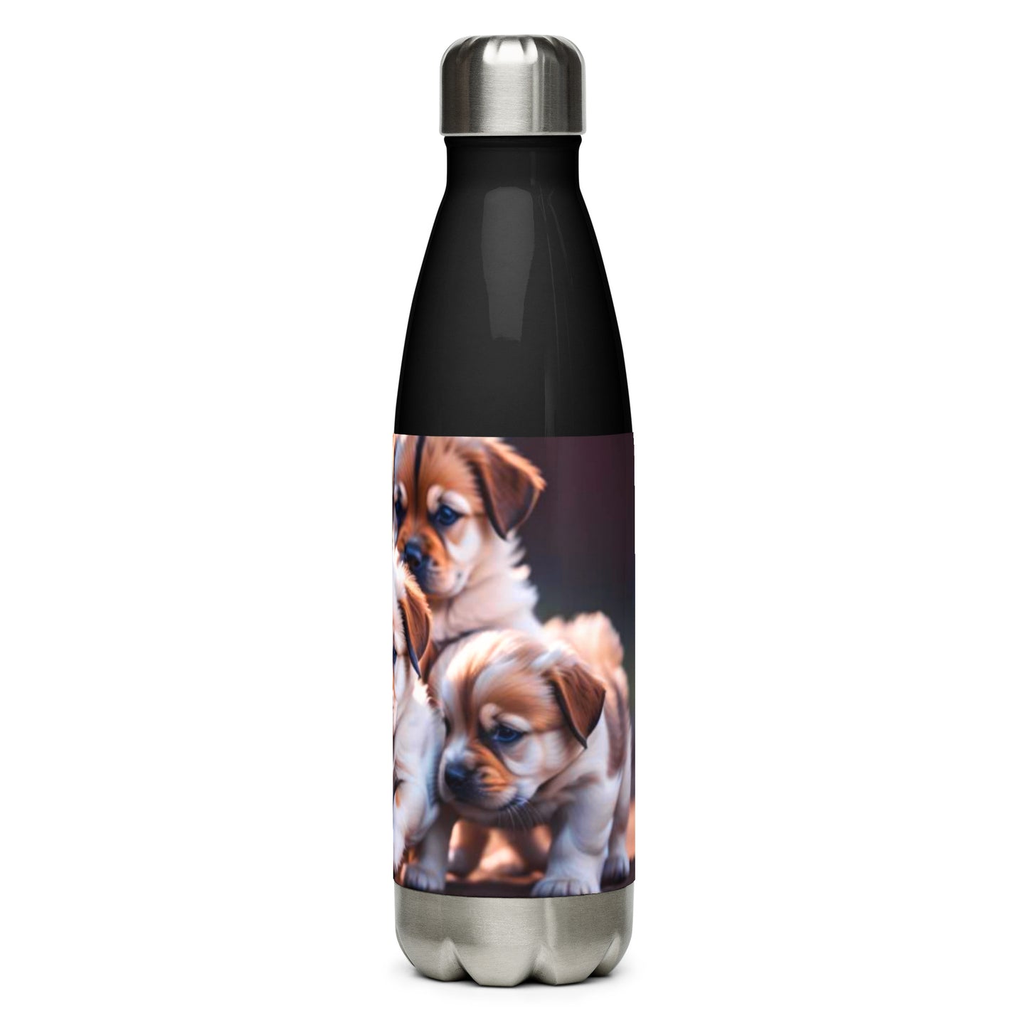 Stainless steel water bottle