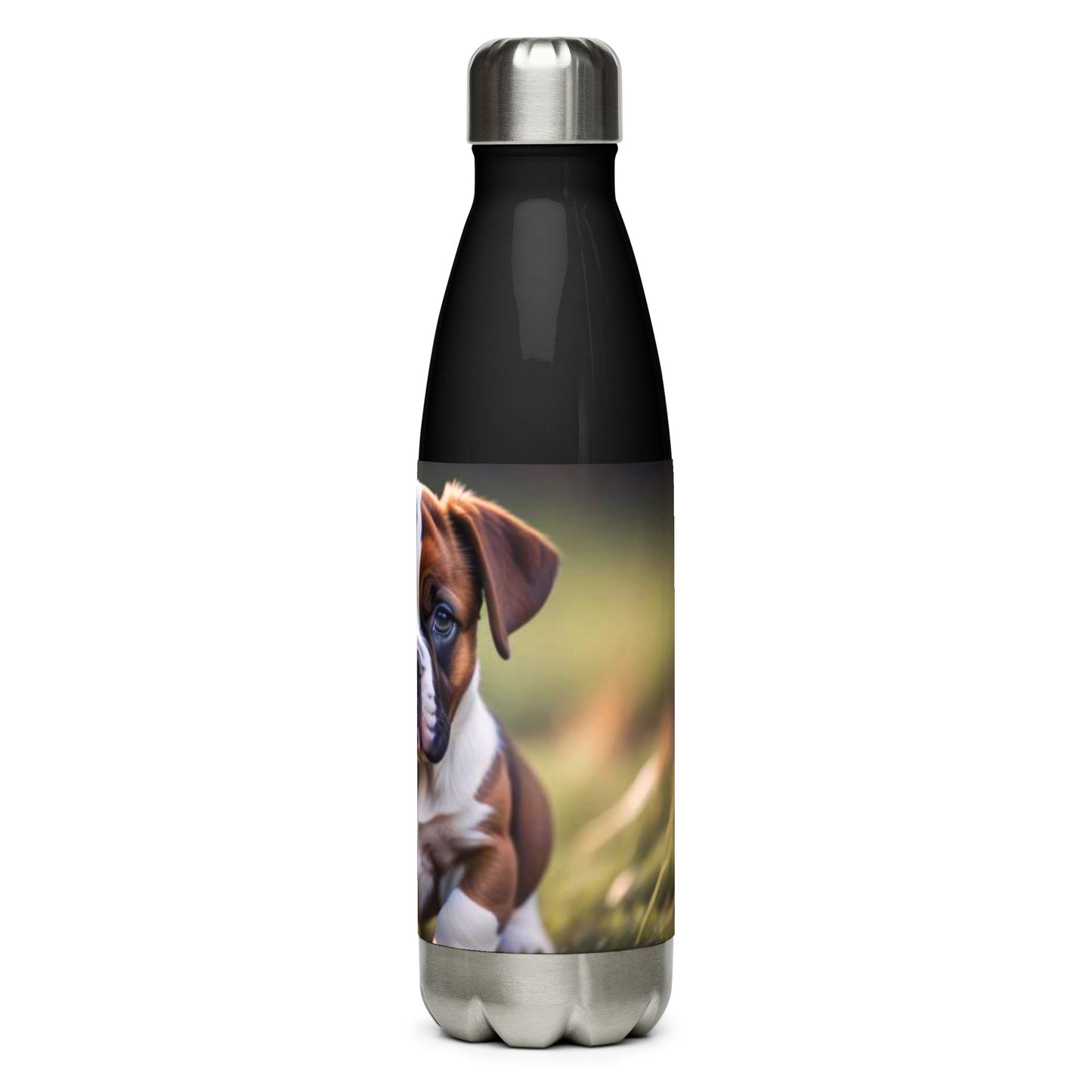 Stainless steel water bottle