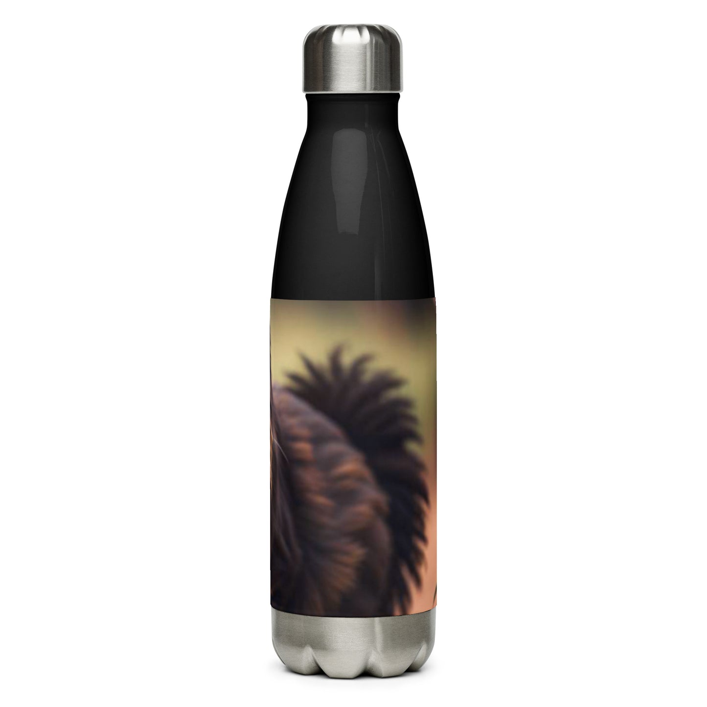 Stainless steel water bottle