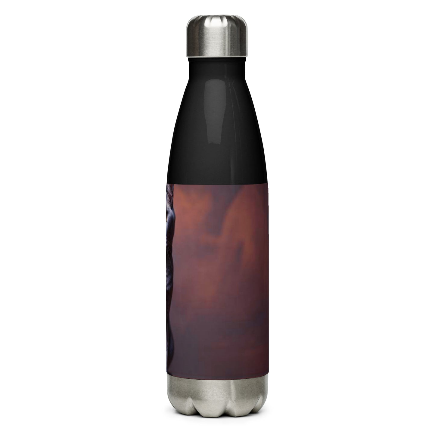 Stainless steel water bottle