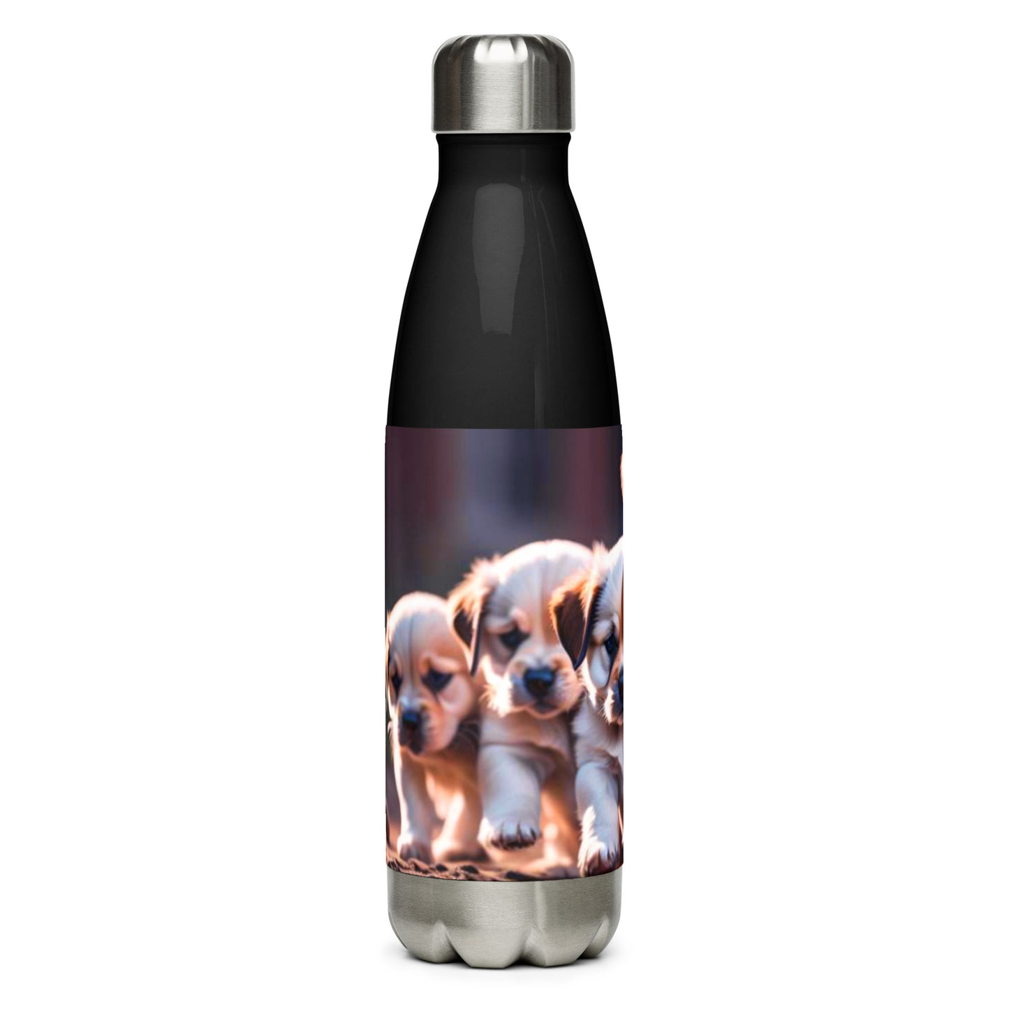 Stainless steel water bottle