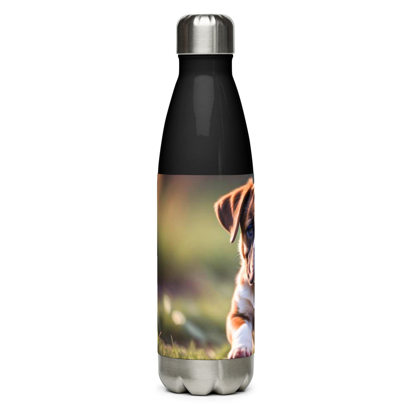 Stainless steel water bottle