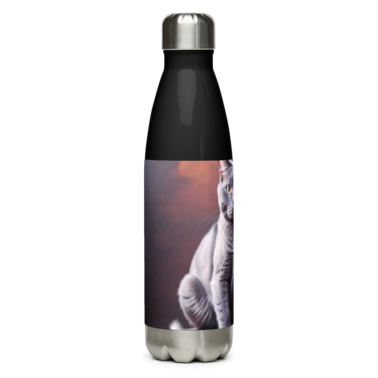 Stainless steel water bottle