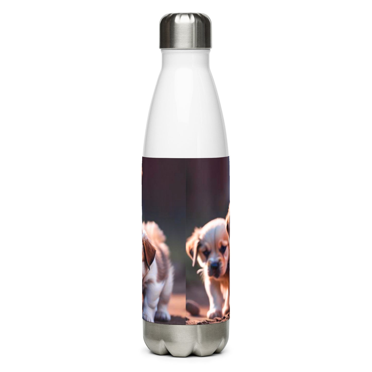 Stainless steel water bottle