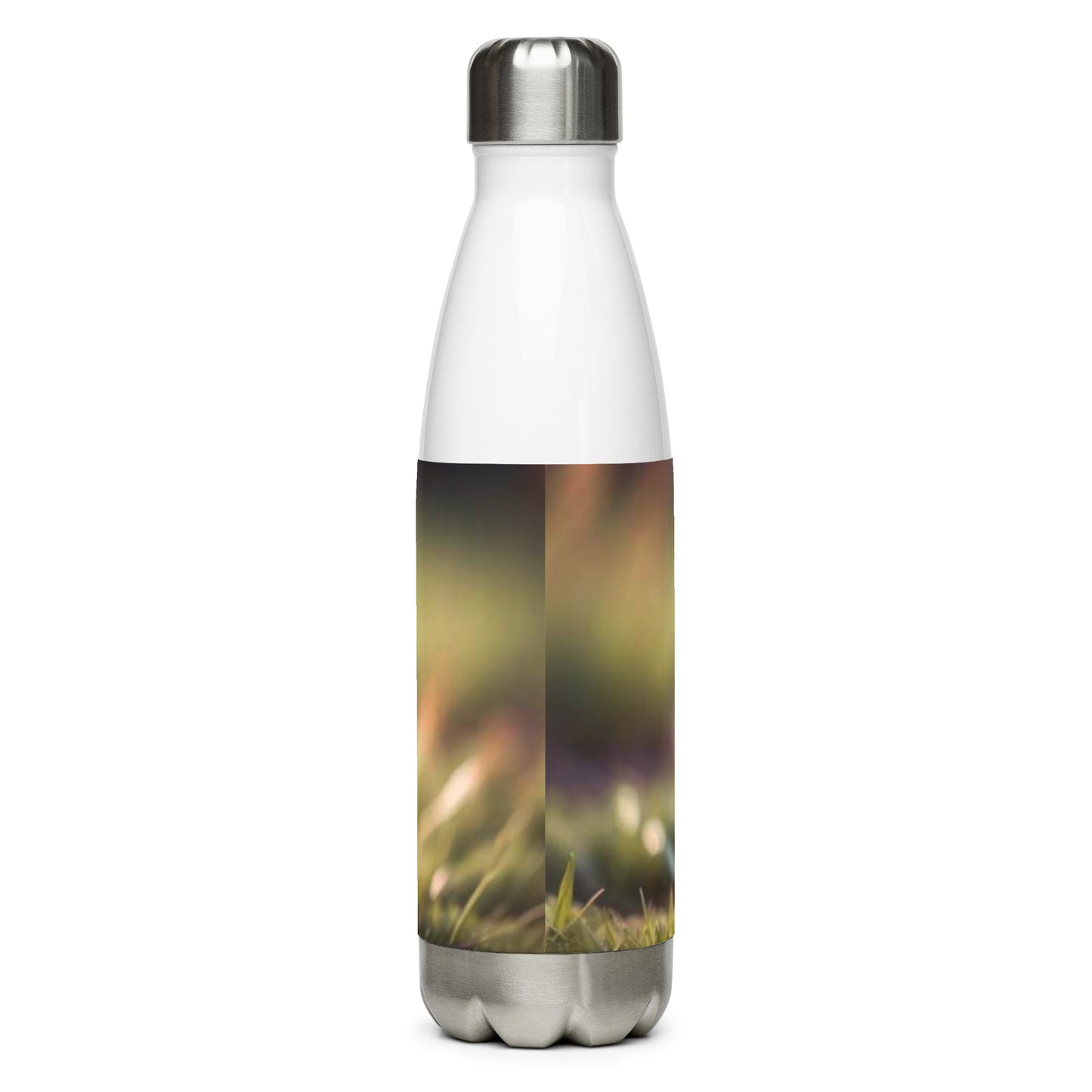 Stainless steel water bottle