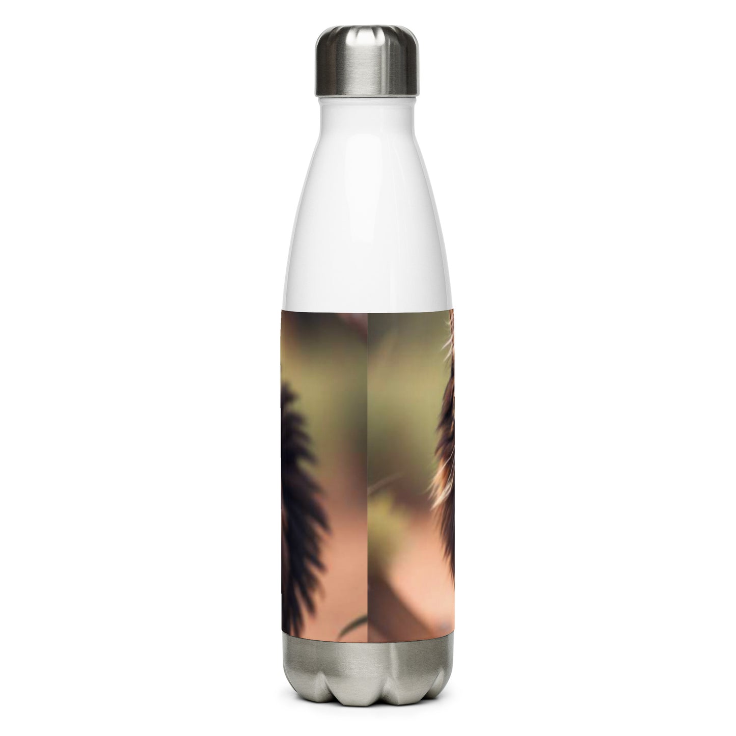 Stainless steel water bottle