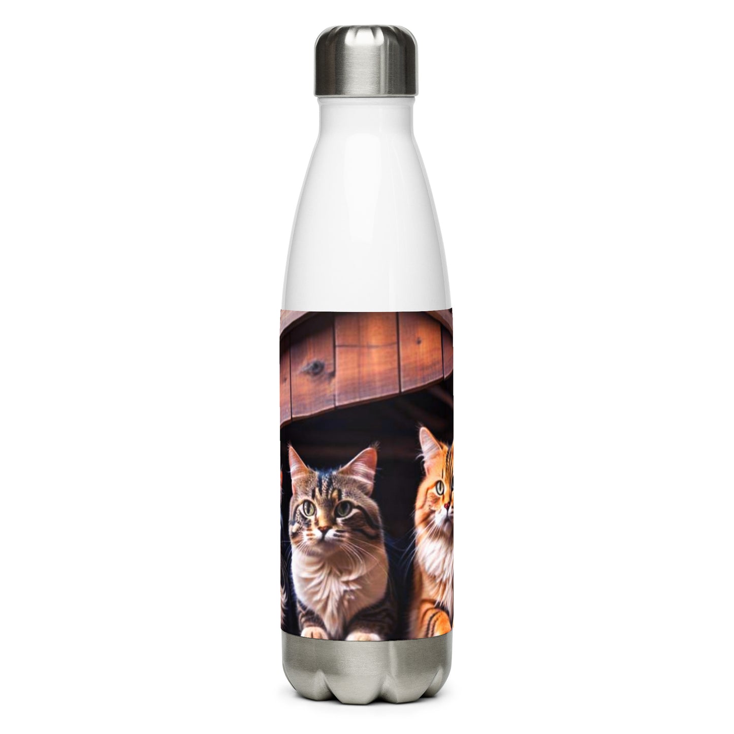 Stainless steel water bottle