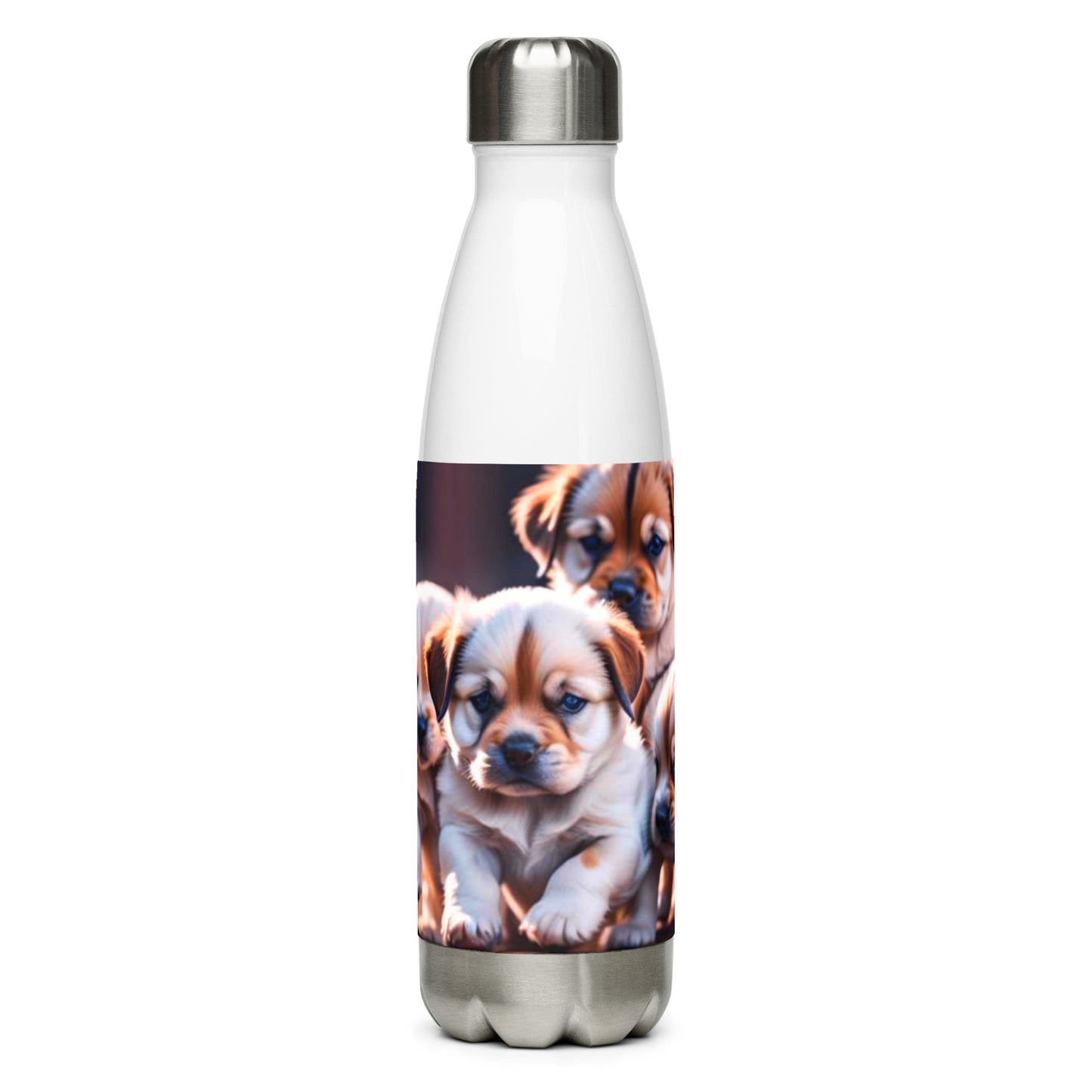 Stainless steel water bottle