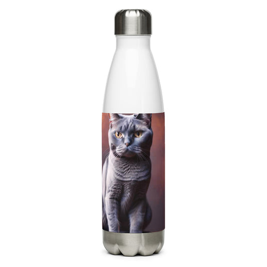 Stainless steel water bottle