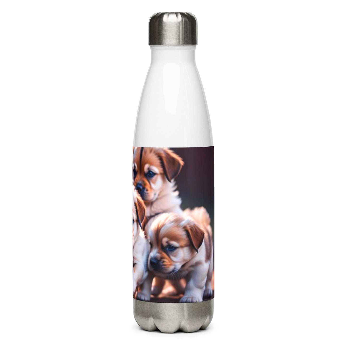 Stainless steel water bottle