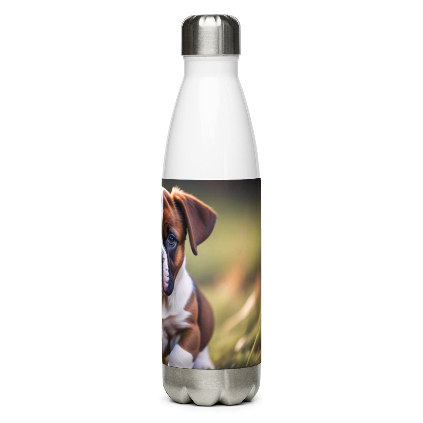 Stainless steel water bottle