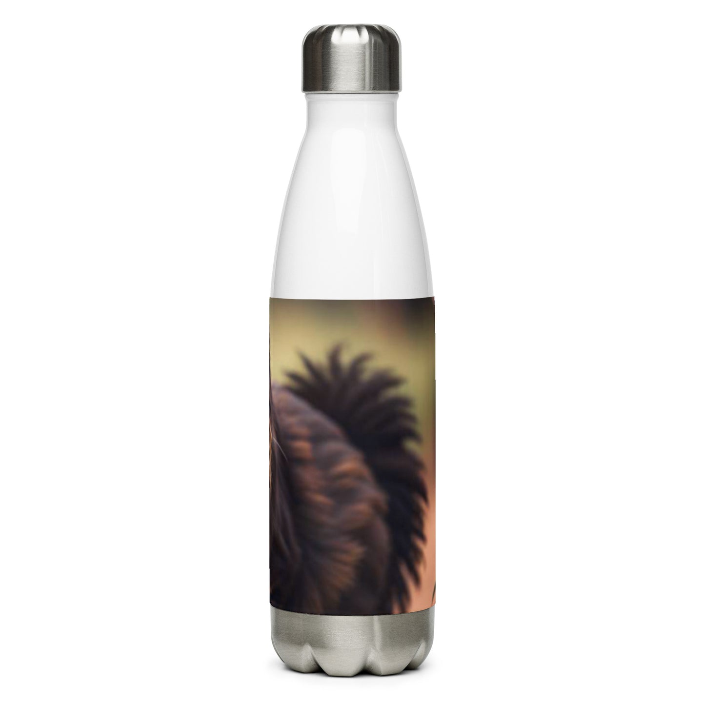 Stainless steel water bottle