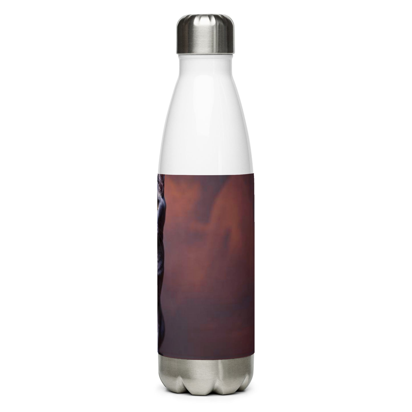 Stainless steel water bottle