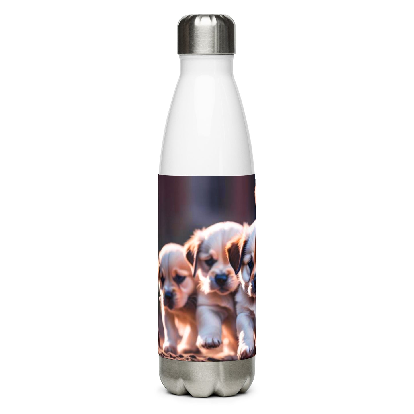 Stainless steel water bottle