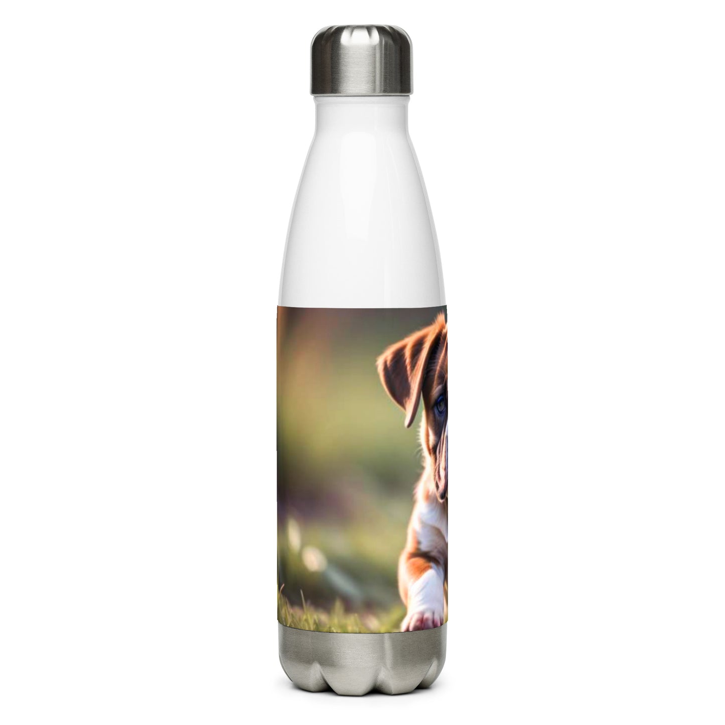 Stainless steel water bottle