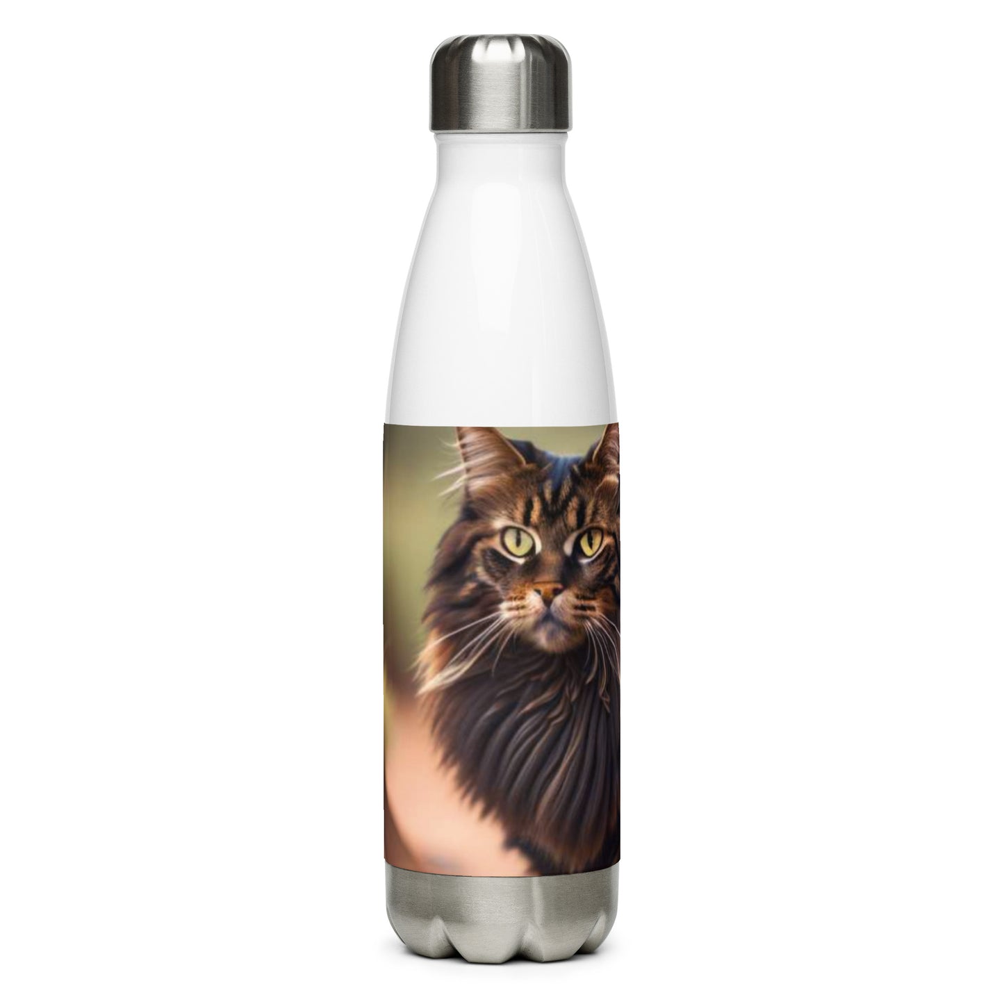 Stainless steel water bottle