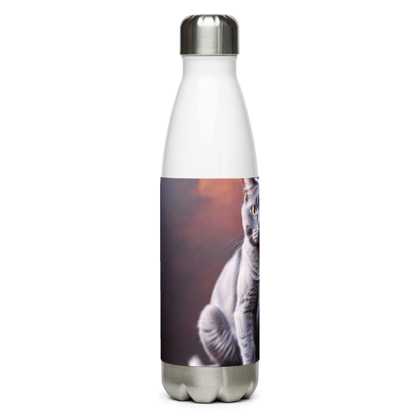 Stainless steel water bottle